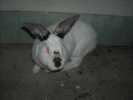 DSCN0975
