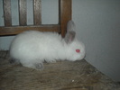 DSCN0977