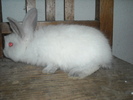 DSCN0979