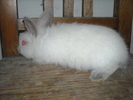 DSCN0980
