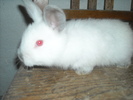 DSCN0982