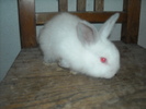 DSCN0983