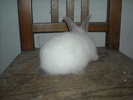 DSCN0984