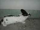 DSCN0995