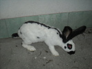 DSCN0996