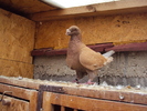 DSC05808