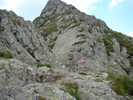 DSC05986
