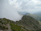 DSC05990