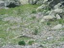 DSC06053