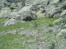 DSC06054