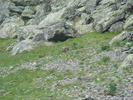 DSC06055