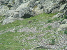 DSC06056