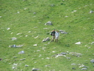 DSC06071