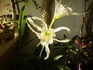 P1070426