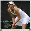 maria_sharapova23