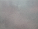 DSCN4605