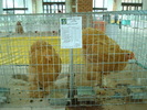 DSC08402