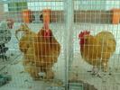 DSC08407