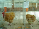 DSC08408