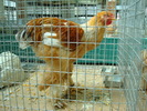DSC08423