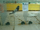 DSC08426