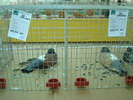 DSC08433