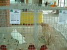 DSC08436