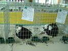 DSC08450