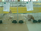 DSC08451
