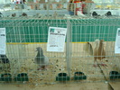 DSC08458