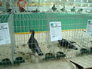 DSC08459