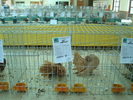 DSC08468