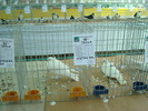 DSC08481