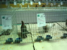 DSC08484