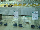DSC08489