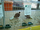 DSC08492