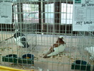 DSC08499