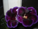 05.09.2010
