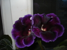 05.09.2010