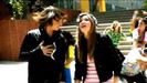 normal_pdvd055
