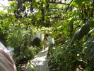 DSCN1284
