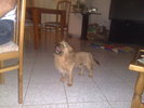 110720102240