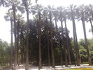 150620102053