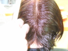 DSCN5032