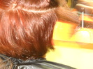 DSCN5044