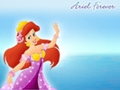 Printesa Ariel (10)