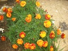 CIMG2724