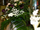 DSC04296