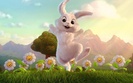 happy_bunny_and_flowers_wallpapers_17840-1280x800