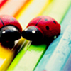 ladybirds_colorful